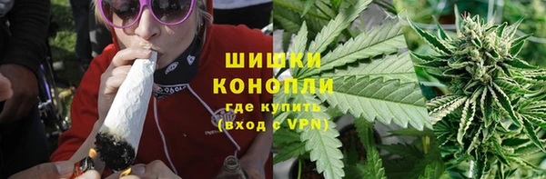 ГАЛЛЮЦИНОГЕННЫЕ ГРИБЫ Богданович